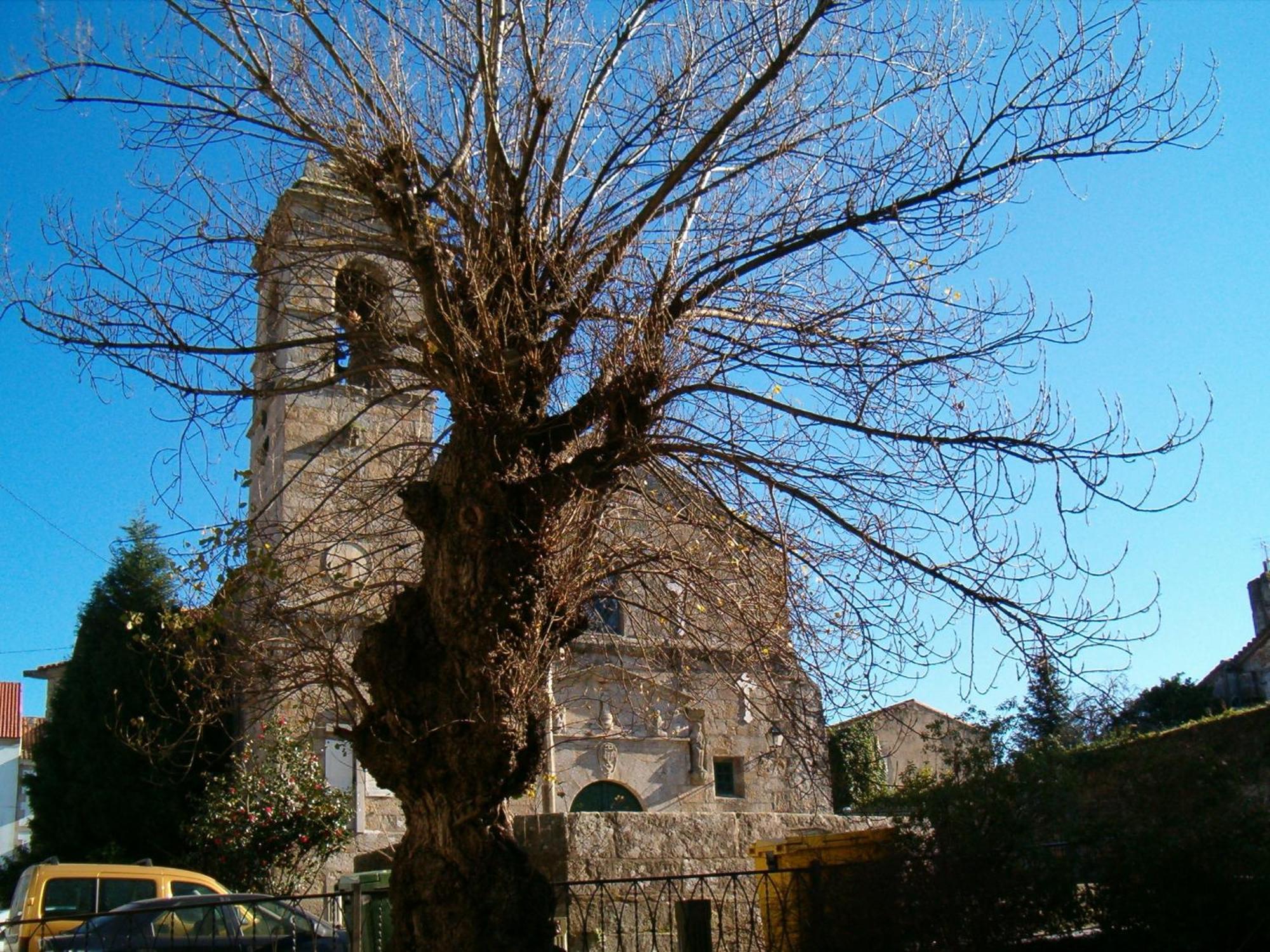 Hotel O Lagar Cambados Bagian luar foto